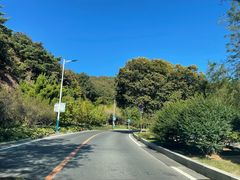 -棒棰岛宾馆景区