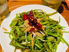 -菌自由丨野生菌火锅特色庭院餐厅(丽江古城店)