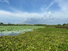 -上海海湾国家森林公园