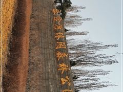 -永定河休闲森林公园