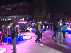 -华声天桥民俗文化园