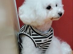 -和它·交个朋友·狗咖猫咖(爱琴海店)