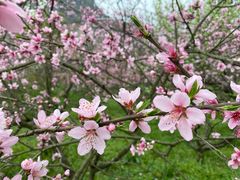 -贵阳市花溪国家城市湿地公园