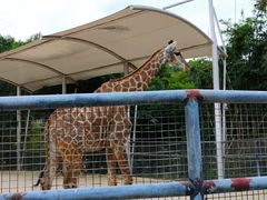 -泉州海丝野生动物世界