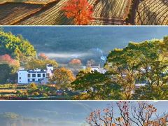 -塔川景区