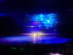 -水秀国际大剧院