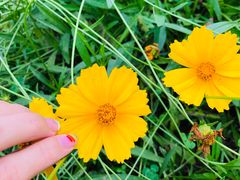 -白鹭湾湿地公园