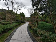 -乌石塘景区