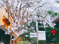 -龙华寺