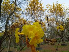 -清远熹乐谷温泉度假酒店