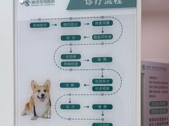 -瑞派康怡24h宠物医院·犬猫医疗中心·微创绝育(瑞景分院)