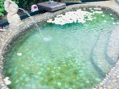 -余姚阳明温泉山庄