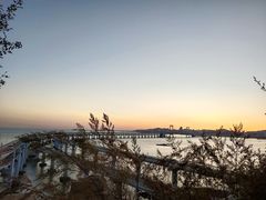 -星海湾跨海大桥