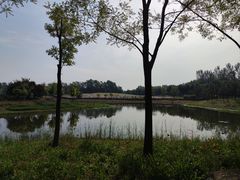 -东郊湿地公园