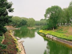 -大兴滨河森林公园