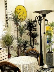 -好看加白色房子