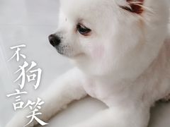 -宠福鑫康馨动物医院·骨科·眼科