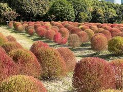 -世纪公园-世纪春沁园