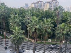 -端艾堂·SPA·艾灸(棕榈泉013店)