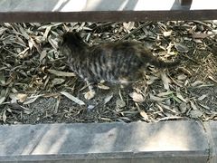 -河南省黄河迎宾馆