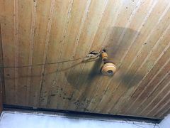 -小殷蒜香排骨(北方苑B区店)