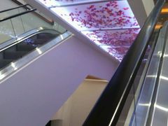 -家乐比水文化休闲广场(望花都店)