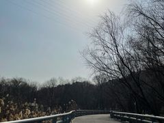 -西湖风景区-江洋畈生态公园