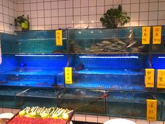 水产区-吴记百家·私房菜·家宴(润园店)