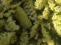 -李村大集