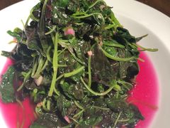 -金枝玉叶上海人家食府(三里河店)