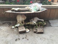 -柳沟豆腐宴69号福豆堂