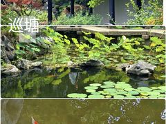 -巡塘古镇