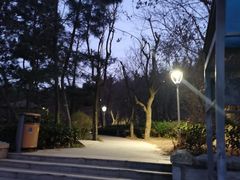 -北岭山森林公园