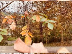 -白鹭湾湿地公园