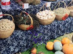 -老阿爸江浙土菜(奥体中心店)