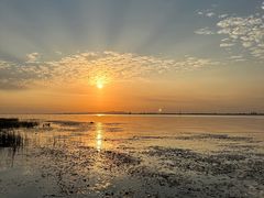 -苏州东太湖生态园