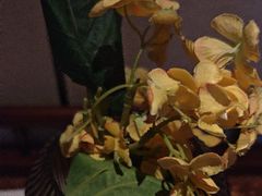 -唐宫足道·SPA·影院会馆(木渎店)