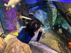 -沈阳海洋探索中心