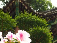 -深圳国际园林花卉博览园