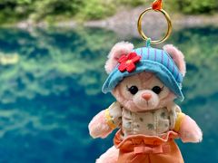 -叠溪松坪沟景区