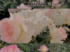 -睦南公园