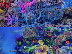 -成都浩海立方海洋公园