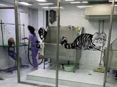 -欧奕国际动物医院