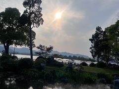 -杭州西湖柳莺里酒店·闻莺厅