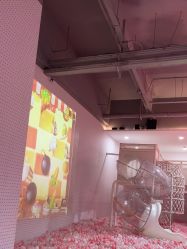 -宝燕乐园(春申店)