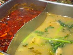 -舒来喜鱼锅(伊河路店)