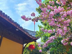 -龙华寺
