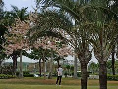 -深圳湾公园(南山区)