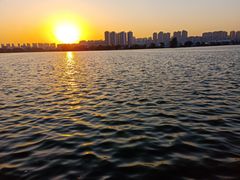 -华中农业大学-荟园餐厅