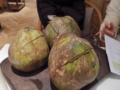 -东椰·海南椰子鸡火锅(朝阳门店)